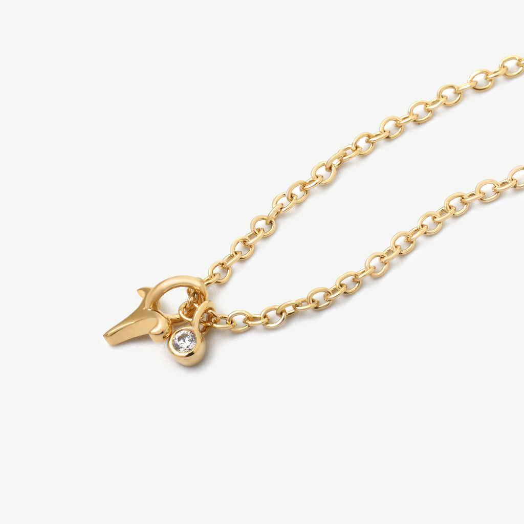 Collar